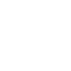 Map Icon